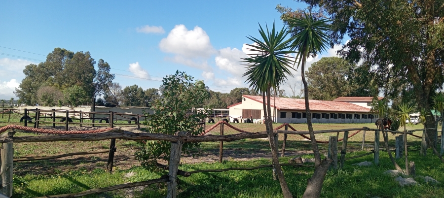 10 Bedroom Property for Sale in Philadelphia Western Cape